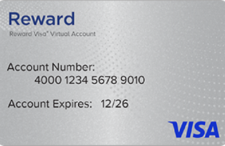 Prepaid Visa eReward USA - USD